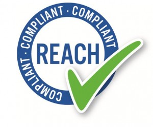 REACH-LOGO.jpg REACH-LOGO.jpg